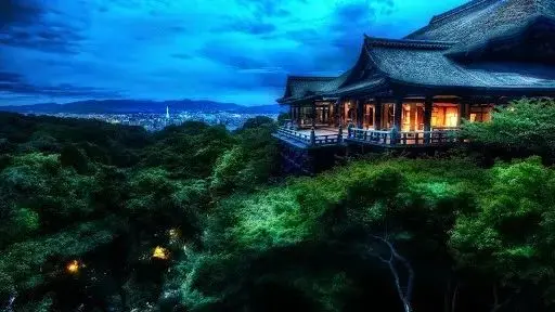 小程序SEO优化指南-go to sea