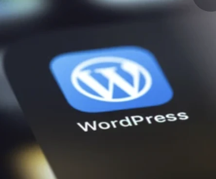 建站资源分享-go to sea