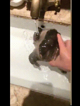 c3e358387d684a34bcca3fac8a8f99d8