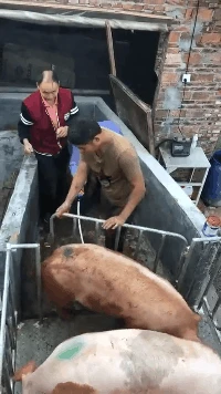 f3cc8aa0da184127bba412d050390f8a