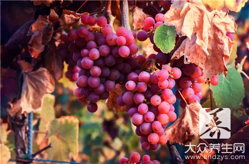 70a989d16dfd9ed52e597ed8ab0e2dc4