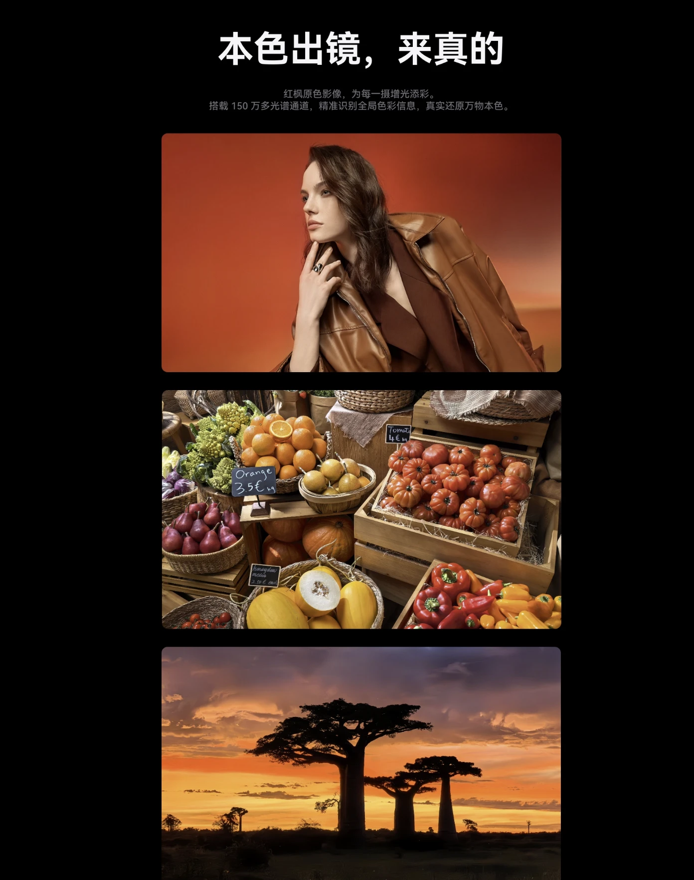 图片[11]-HUAWEI Pura X-go to sea