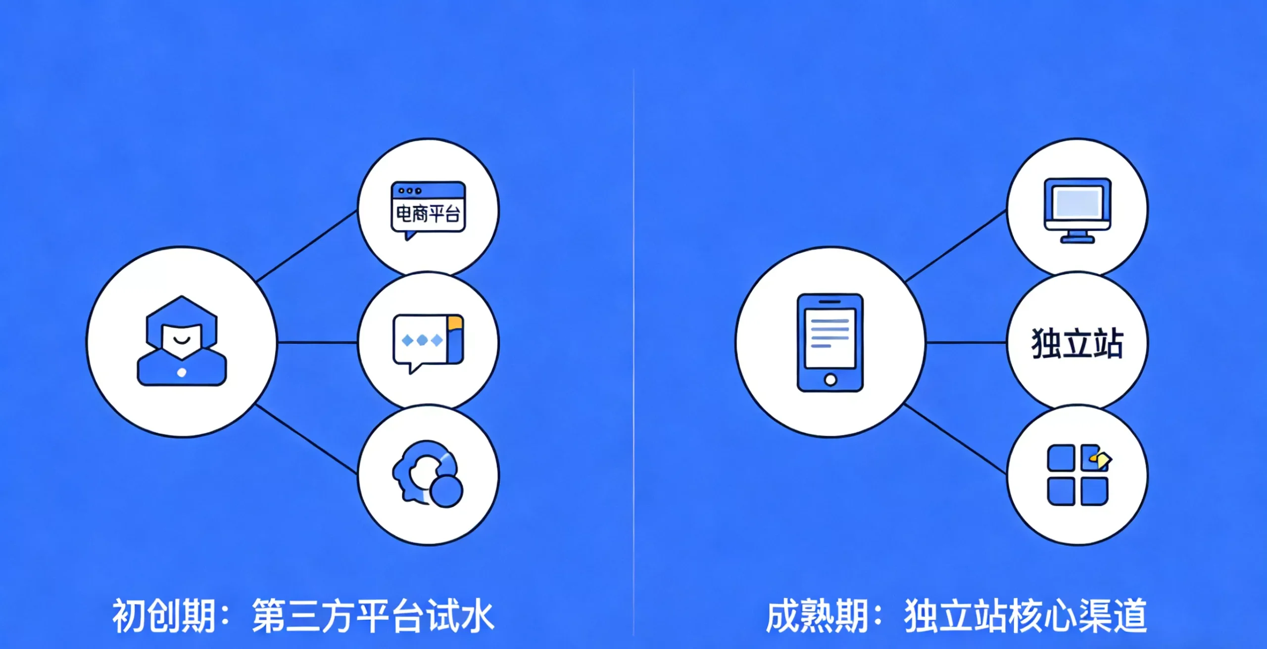 渠道决胜：电子烟出海，独立站与主流平台的优劣抉择与合规之道-龙门出海