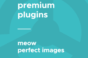 Meow – Perfect Images (Retina, Thumbnails, Replace) (Pro) v7.1.7 wordpress图片优化插件下载-图仕出海