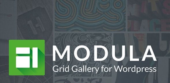 Modula Pro v2.10.12(核心插件) – 最佳的 WordPress 图片流展示插件下载-图仕出海
