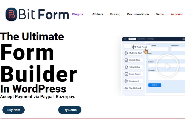 Bit Form Pro v3.0.1 表格表单创建插件下载-图仕出海
