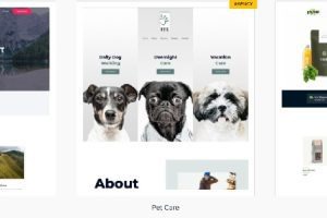 Astra Premium Starter Templates v4.6.2（Astra Premium Starter Templates） | Astra高级模板下载-图仕出海